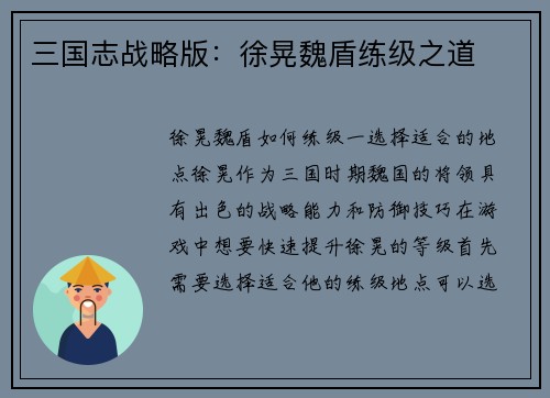 三国志战略版：徐晃魏盾练级之道